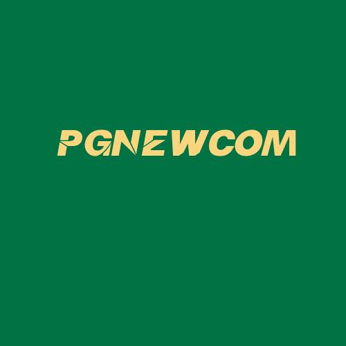 Logo da PGNEWCOM